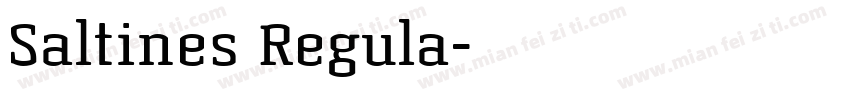 Saltines Regula字体转换